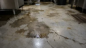 Damaged commercial concrete floor with cracks and grease in a Tampa restaurant kitchen